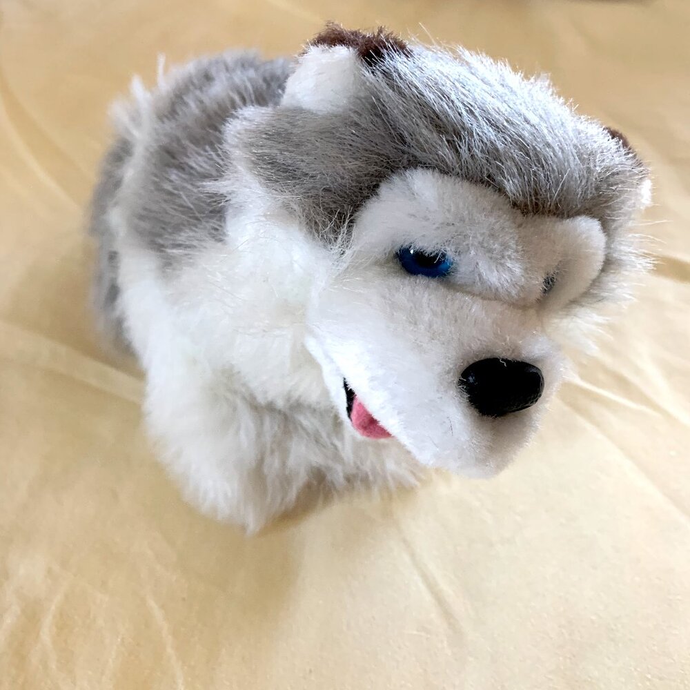Husky Plushie
